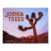 Joshua Trees Kalender (Hoes)