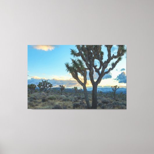Joshua Trees Landschap bij zonsondergang Canvas Afdruk (Voorkant)
