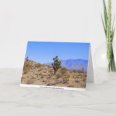Joshua Trees, Mojave Desert, Wenskaart Kaart (Achterkant)
