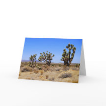 Joshua Trees, Mojave Desert, Wenskaart