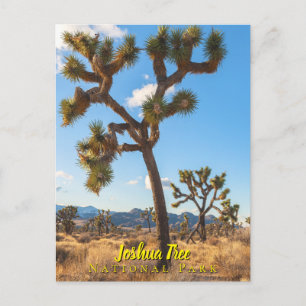 Joshua Trees Nationaal Park Briefkaart
