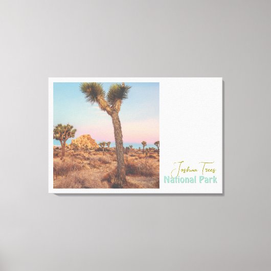 Joshua Trees Nationaal Park Canvas Afdruk (Voorkant)