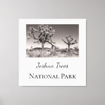 Joshua Trees Nationaal Park