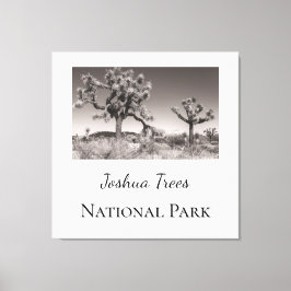Joshua Trees Nationaal Park Canvas Afdruk