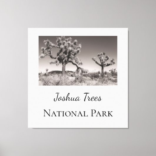 Joshua Trees Nationaal Park Canvas Afdruk (Voorkant)