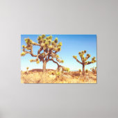 Joshua Trees Nationaal Park Canvas Afdruk (Voorkant)