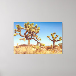 Joshua Trees Nationaal Park Canvas Afdruk