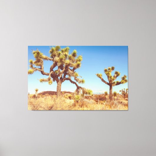 Joshua Trees Nationaal Park Canvas Afdruk (Voorkant)