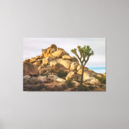 Joshua Trees Nationaal Park Canvas Afdruk