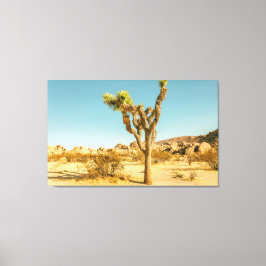 Joshua Trees Nationaal Park Canvas Afdruk