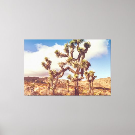 Joshua Trees Nationaal Park Canvas Afdruk (Voorkant)