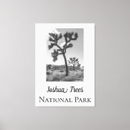 Joshua Trees Nationaal Park Canvas Afdruk