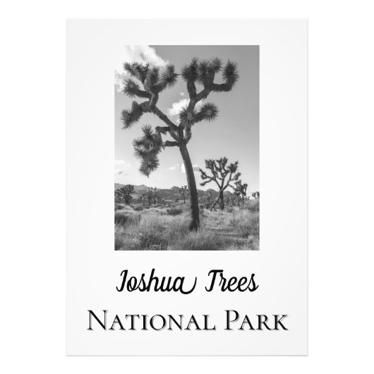 Joshua Trees Nationaal Park Foto Afdruk (Voorkant)