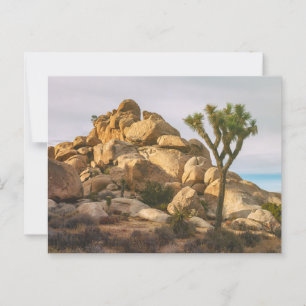 Joshua Trees Nationaal Park Landschap Briefkaart