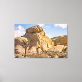 Joshua Trees Nationaal Park Landschap Canvas Afdruk (Voorkant)