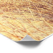 Joshua Trees Nationaal Park Poster (Hoek)