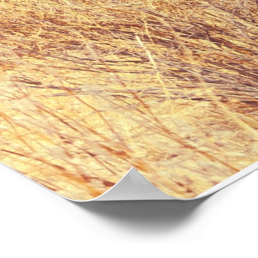 Joshua Trees Nationaal Park Poster (Hoek)