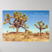 Joshua Trees Nationaal Park Poster (Voorkant)