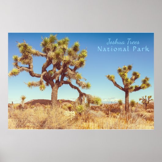 Joshua Trees Nationaal Park Poster (Voorkant)