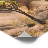 Joshua Trees Nationaal Park Poster (Hoek)