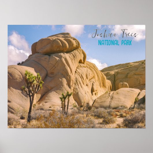 Joshua Trees Nationaal Park Poster (Voorkant)