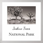Joshua Trees Nationaal Park Poster (Voorkant)