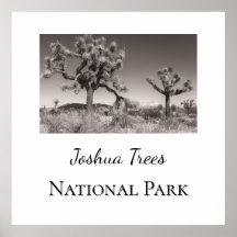Joshua Trees Nationaal Park
