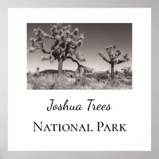 Joshua Trees Nationaal Park Poster (Voorkant)