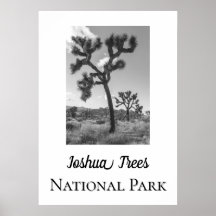 Joshua Trees Nationaal Park