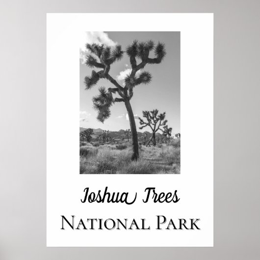 Joshua Trees Nationaal Park Poster (Voorkant)