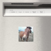 Josie de Mule Magneet (Insitu (Vaatwasser))