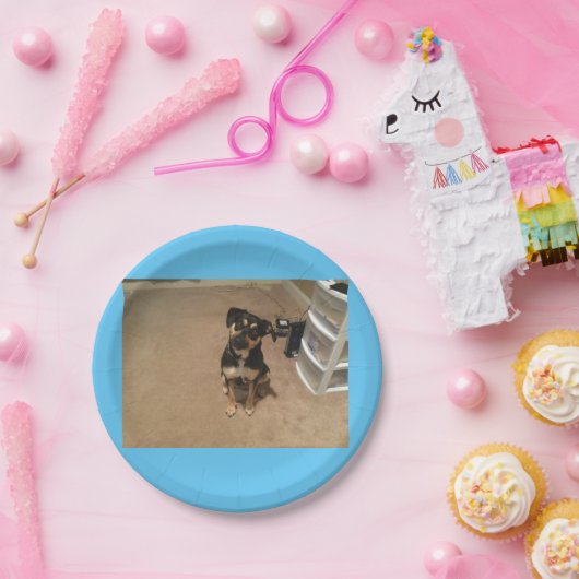 Josie paper bord (Feest)