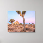 Josua Trees Sunrise Canvas Afdruk (Voorkant)
