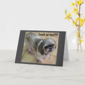 "JOU GEMIST MET THANKSGIVING" KAART (Gele Bloem)