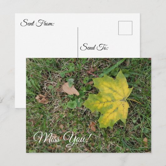 Jou Missen, Enkele Herfstblad  Briefkaart (Voorkant / Achterkant)