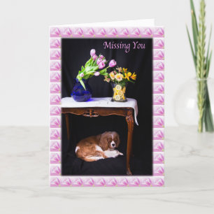 Jou Missend Cavalier King Charles Met Bloemen Kaart