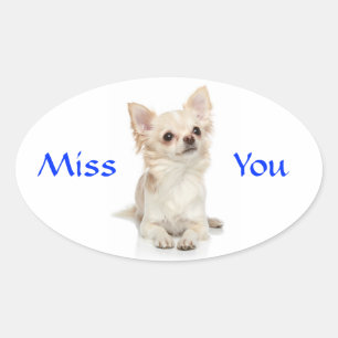 Jou Missende Chihuahua-hondje Sticker
