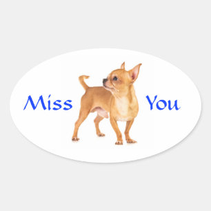 Jou Missende Chihuahua-hondje Sticker