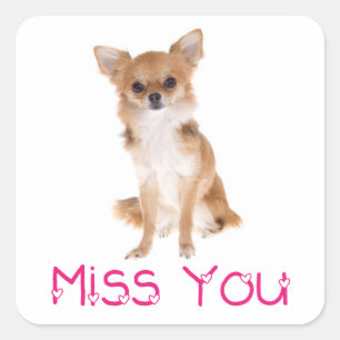 Jou Missende Chihuahua Puppie Hond Sticker Label