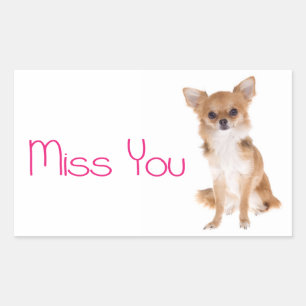 Jou Missende Chihuahua Puppie Hond Sticker Label