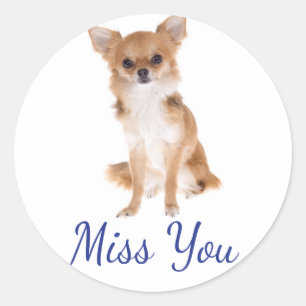 Jou Missende Chihuahua Puppies Hond Sticker Label
