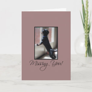 Jou miste kleine hond kijkt uit het raam kaart