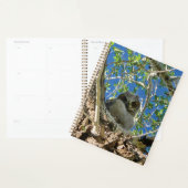 Jou Planner Volgen (Display)