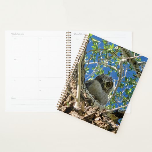 Jou Planner Volgen (Display)