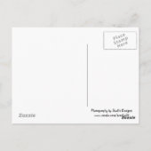 Jou Vermiste Baarddraagster Briefkaart (Achterkant)