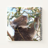 Journaal met koala en wallabies in Australië Notitieboek (Achterkant)