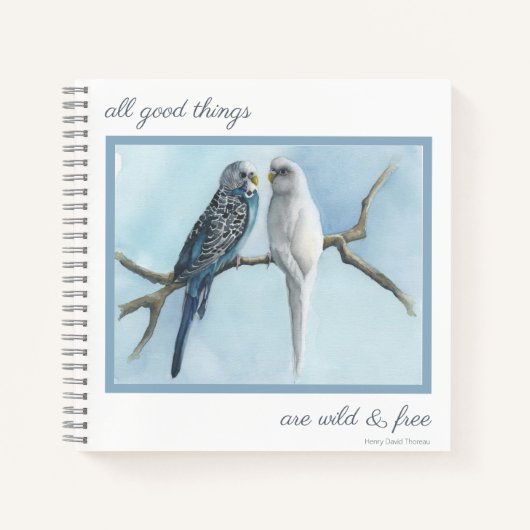 Journal Note Birds Budgies Sketch book write diary Notitieboek (Voorkant)