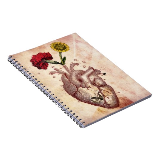 Journal, notebook, spiral, anatomie 2, hart notitieboek (Rechterzijde)