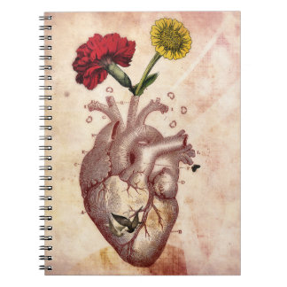 Journal, notebook, spiral, anatomie 2, hart notitieboek