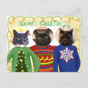 Jouw 3 katten in Ugly Kerstmis Briefkaart